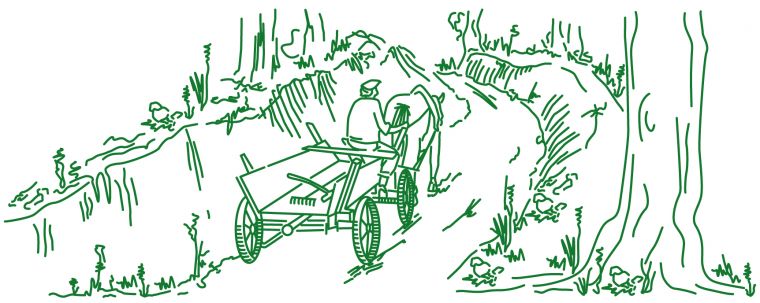 Zeichnung eines Mannes auf einer Kutsche, der einen Hohlweg entlang fährt.